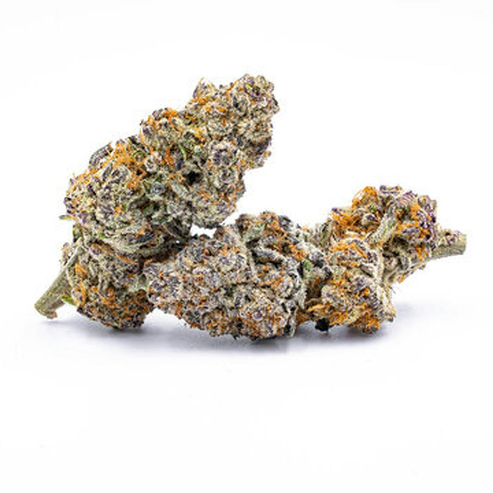 Platinum Yeti